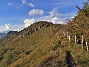 67 In discesa dal Castel Regina sul sent. 596 per il Pizzo Cerro  in cresta tra Val Brembana e Val Brembilla 